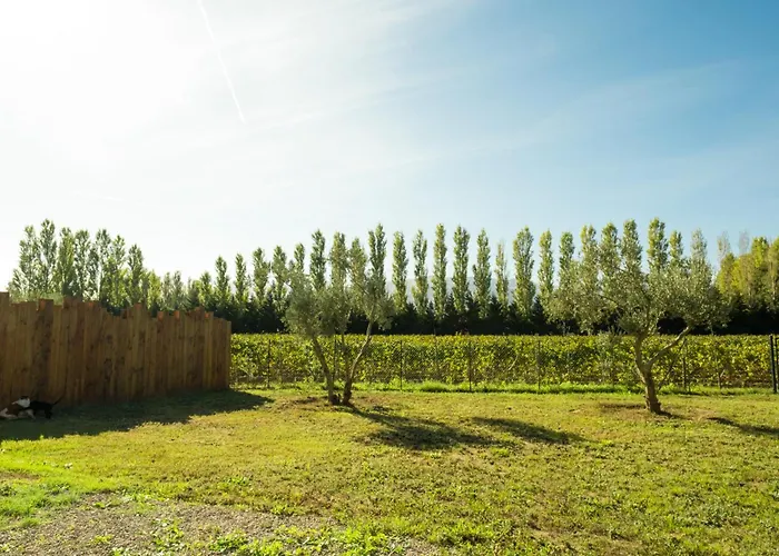 Domaine Saint Thomas