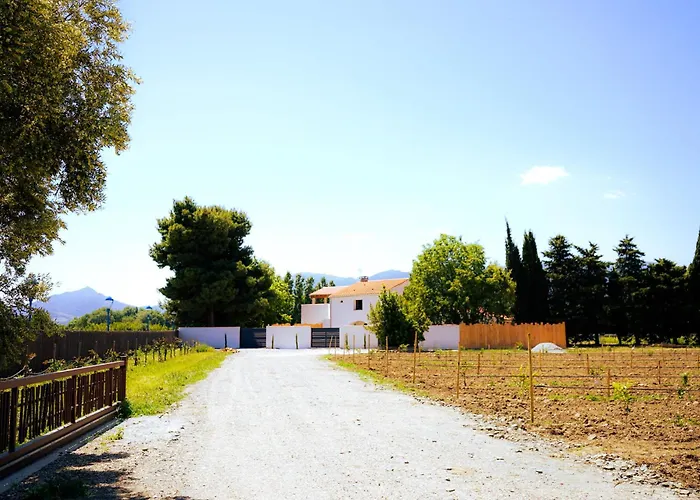 Domaine Saint Thomas