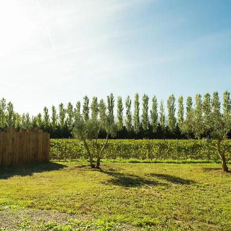 Domaine Saint Thomas